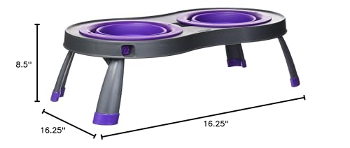 Dexas Popware for Pets Double Elevated Pet Feeder, Large, Gray/Purple - color: Gray/Purple, size: Large/2.5 Cup Capacity Bowls
