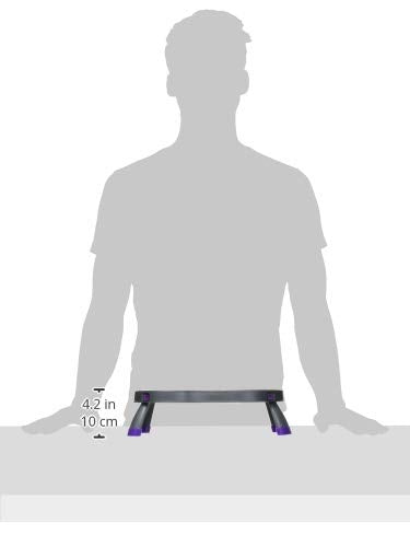 Dexas Popware for Pets Double Elevated Pet Feeder, Small, Gray/Purple - color: Gray/Purple, size: Small/1 Cup Capacity Bowls