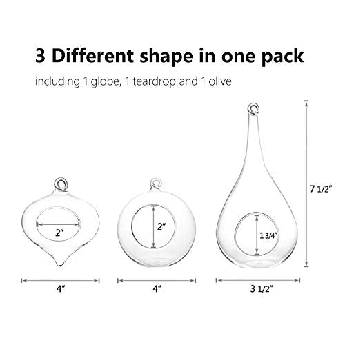 Mkono 3 Pack Glass Hanging Planter Air Fern Holder Terrarium Plants Hanger Vase, Home Christmas Decoration Gifts for Plant Lovers, Succulent Moss Tillandsias Air Plants Globe (Plant Not Included)