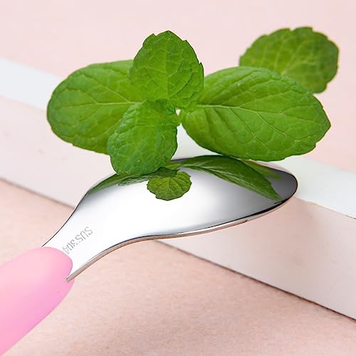VANRA 2 Pieces Toddler Fork and Spoon Set with Travel Case 18/8 Stainless Steel Toddler Utensils Kids Silverware Children Flatware Child Cutlery Set for School Lunch Box (Pink) - color: Pink