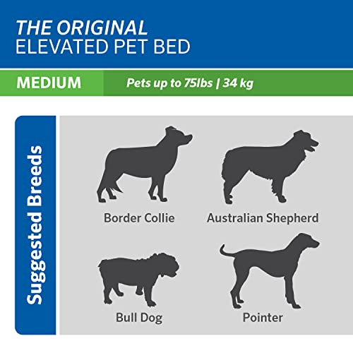 Coolaroo Original Elevated Dog Bed - Breathable Off-The-Ground Pet Bed with Cooling Fabric, Joint Relief & Moisture-Resistant Fabric, 100% Recyclable, Easy Clean, Gunmetal, Medium - color: Gunmetal, style: Medium Dog Bed
