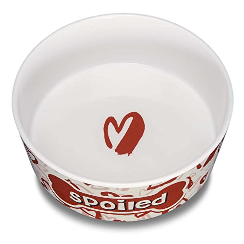 Loving Pets Dolce Moderno Ceramic Look Dog Bowl – Modern Melamine Dog Food Bowl & Dog Water Bowl – Durable, Non-Slip Pet Dish for Small & Medium Dogs – Dishwasher Safe Dog Bowl (Large, 47 oz) - color: Spoiled, size: Large