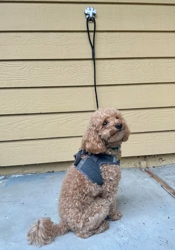 Dog Leash Hitch Parking Hook Medium Duty Wall-Mount Stainless Steel Dog Tie Out - Leash Holder for Wall - Mounting Hardware Kit Included (3” x 4”)