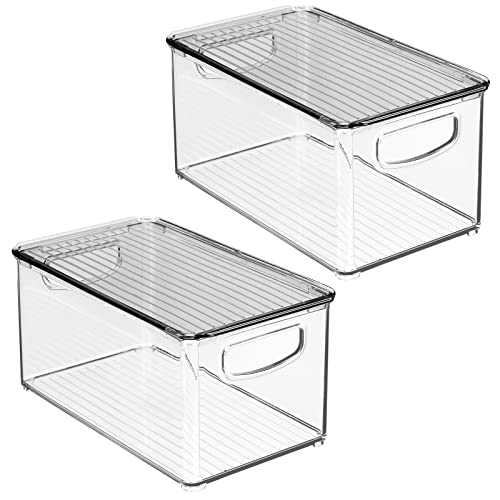 mDesign Plastic Deep Storage Bin Box Container with Lid and Built-In Handles - Organization for Fruit, Snacks, or Food in Kitchen Pantry, Cabinet, Cupboard, Ligne Collection, 2 Pack, Clear/Smoke Gray