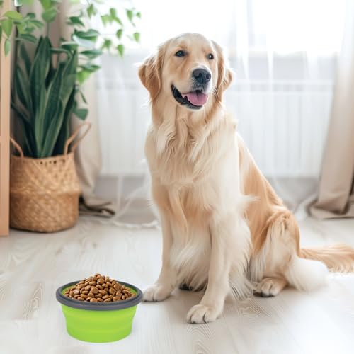 2pcs Collapsible Dog Bowls, Silicone Food & Water Travel Bowl with Lid Portable Expandable Pet Feeding & Drinking Cup/Saucer for Walking, Kennels, and Camping 350ml (Green, Blue) - color: Green, Blue