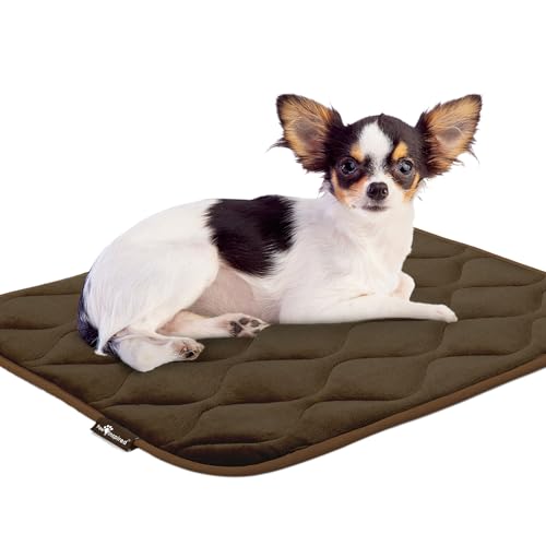 Paw Inspired Washable Padded Crate Mats for Dogs | 23" x 17" Pad, Fits 24-inch Kennels | Leakproof, Waterproof Bottom, Plush Pet Beds (Dark Brown) - color: Dark Brown, size: 24 Inch