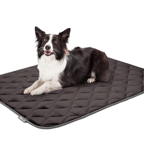 Paw Inspired Washable Padded Crate Mats for Dogs | 47” x 29” Pad, Fits 48-inch Kennels | Leakproof, Waterproof Bottom, Plush Pet Beds (Gray) - color: Gray, size: 48 Inch