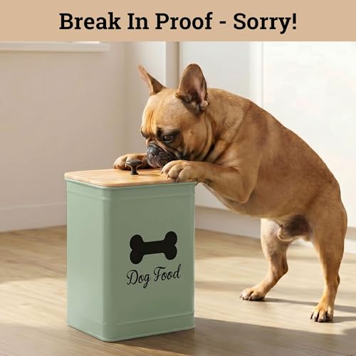 Dog Food Container Airtight 5-7 lb (25 Cup) Capacity - Cute Airtight Dog Food Storage Container with Bamboo Lid & Sturdy Metal Handle - Green Metal Kibble Storage Bin for Dogs up to 50 lbs - Pet Jar - color: Sage Green