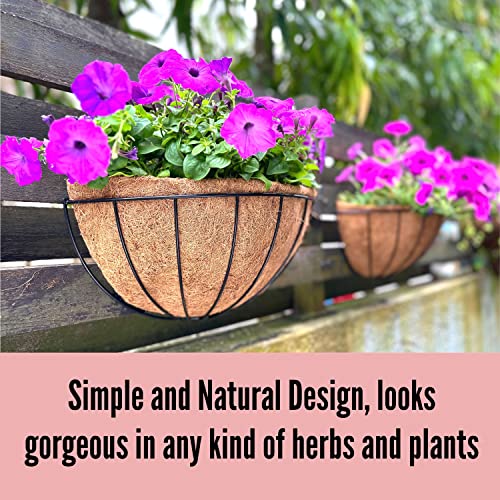 LaLaGreen Wall Hanging Planters (12 Inch, 2 Pack) Wall Mounted Flower Baskets with Coco Liner, Metal Iron Wire Plant Holder for Outdoor Window Box Herb Outside Fence Railing Deck Porch Balcony Garden