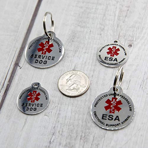 Engraved Service Dog Personalized with 4 Lines of Custom Engraved ID Stainless Steel Enameled - size: Regular
