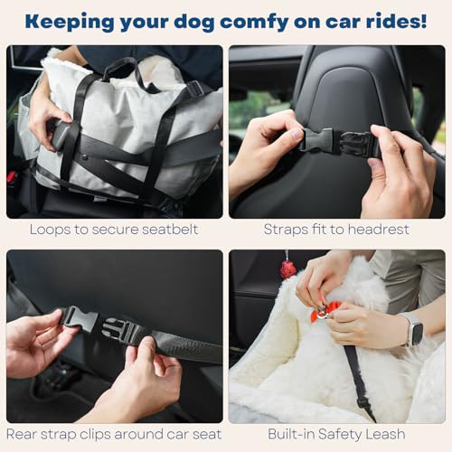 Milk and Soda Small Dog Car Seat Bed for Small Dogs Under 20 LBS with 2-Sided Pillow, Side Pockets, Built-in Leash, Machine Washable Cover, Light Gray (Gray, Small) - color: Gray