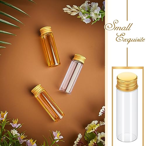 Didaey 50 Pcs Small Clear Vials Spice Mini Jars with Lids Mini Glass Bottles with Screw Aluminum Metal Caps Tiny Jars Sample Containers for Powder Cream Cosmetic Jewelry Wedding (15ml,Gold Caps) - color: Gold Caps, size: 15 ml