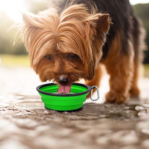 Kytely Large Collapsible Dog Bowls 2 Pack, 34oz Foldable Dog Travel Bowl, Portable Pet Water Food Bowl with Clasp, Pet Cat Feeding Cup Dish for Traveling, Walking, Hiking (Green+Purple) - color: Green & Purple