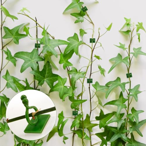 100 Pcs Plant Climbing Wall Fixture Clips, Green Plant Fixer with Self-Adhesive Hook, Fixing Clip Vines Holder for Indoor Outdoor Plants Support Cable Wire (Medium)