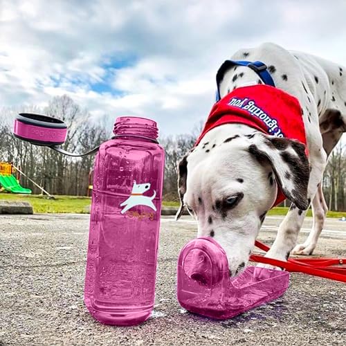 OllyDog OllyBottle Tritan Water Bottle with Detachable Dog Bowl | BPA Free Leakproof | 34oz | Share Water with Your Dog | Hiking Travel Camping (1L, Hot Pink) - color: Hot Pink, size: 1L