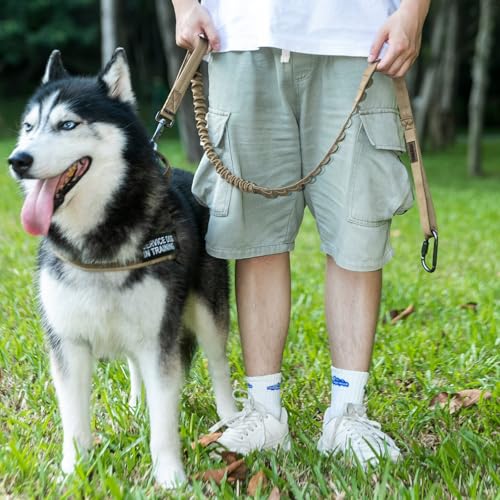 EXCELLENT ELITE SPANKER Tactical Bungee Dog Leash Military Adjustable Dog Leash Quick Release Elastic Leads Rope with 2 Control Handle(Grey - color: Grey