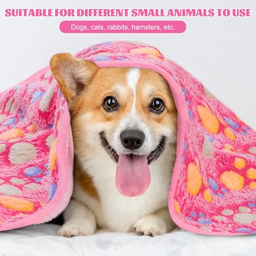 MCEAST 24 Pack Paw Print Plush Pet Blankets 24 x 16 Ultra-Soft & Cozy Small Dog Cat Bedding Mats with 12 Stylish Designs Machine Washable Multipurpose Fluffy Throw for Kennel, Sofa, Travel