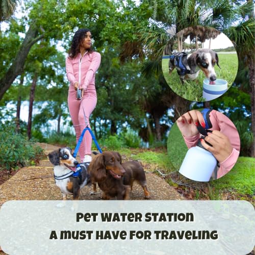 OhmyPet Pet Water Bottle Station with 3 Bowls and 32oz Bottle, Pink or Blue, for Dogs - color: Blue