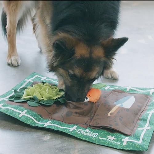 Outward Hound by Nina Ottosson Activity Matz Garden Game Plush Dog Puzzle Mat Dog Enrichment Dog Toy, Level 2 Intermediate, Multicolored - color: Activity Matz Garden