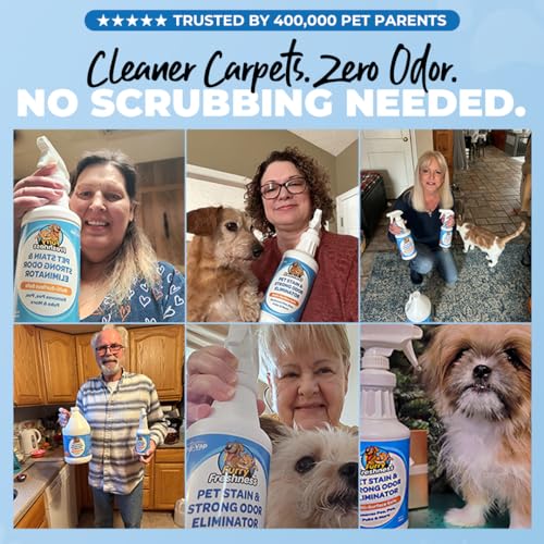 FurryFreshness Extra Strength Cat or Dog Pee Stain & Permanent Odor Remover + Smell Eliminator -Removes Stains from Pets & Kids Including Urine or Blood- Lifts Old Carpet Stains- (Gallon) - size: 128 Fl Oz (Pack of 1)