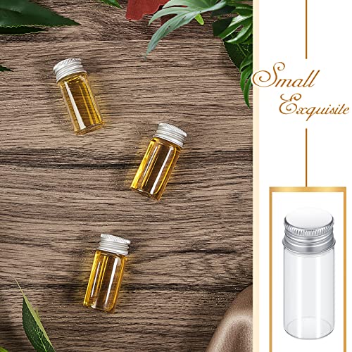 Didaey 100 Pcs Small Clear Vials Spice Mini Jars with Lids Mini Glass Bottles with Screw Aluminum Metal Caps Tiny Jars Sample Containers for Powder Cream Cosmetic Jewelry Wedding (10 ml,Silver Caps) - color: Silver Caps, size: 10 ml