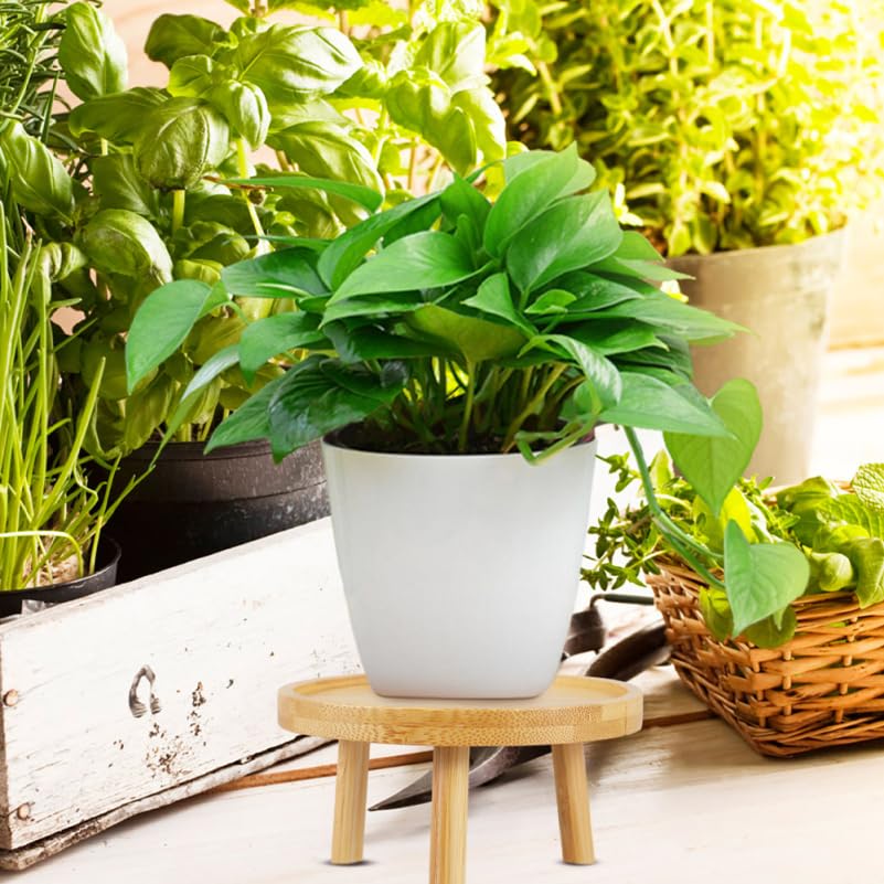 DOITOOL 5 Inch Small Indoor Plant Stand for Flower Pots Round Wooden Plant Stool Pedestal Succulent Holder Display Riser for Tabletops Living Rooms Bonsai and Home Decor