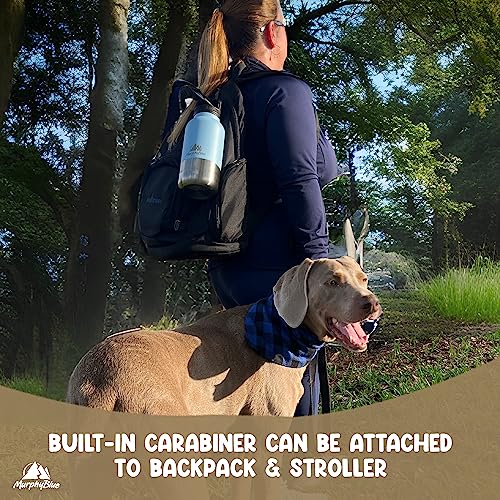MurphyBlue Dog Water Bottle | 32 oz. Capacity Insulated Stainless Steel, Lid w/Built-in Carabiner, BPA Free Plastic Detachable Bowls, Portable Dog Water Bottles, Travel Bowls for Pets