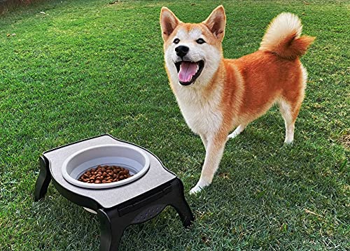 Tuff Pupper Elevated Dog Bowl - Single Raised Collapsible Travel Bowl Holds 80oz/12cups Food/Water