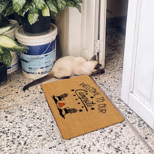 Welcome Camping Coir Door mats Rug, Rv Camping Accessories, Rv Furniture Outdoor Patio Mat 17x30 - color: Campsite