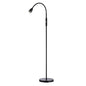 O’Bright Ray – Adjustable LED Beam Floor Lamp, Dimmable and Zoomable Spotlight, Flexible Gooseneck, Reading/Crafting Standing Lamp, Work Table Light, Matte Black - color: Black