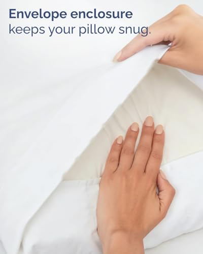 Twin 4 Piece Sheet Set - Comfy Breathable & Cooling - Ultra Soft Hotel Luxury Bedding Set with 8-16 Inch Deep Pockets - 1 Flat & 1 Fitted Sheet & 2 Pillowcases - Cozy, Wrinkle Free & Easy Care - White - color: 01 - White, size: Twin