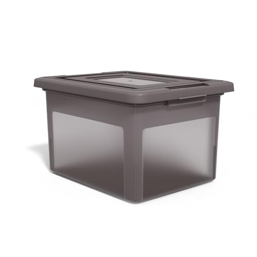 STAPLES File Box Plastic File Box Snap, Letter/Legal Size, Frost Gray, 2/Pack - color: Gray, size: 2 Pack, style: Box (Snap Lid)