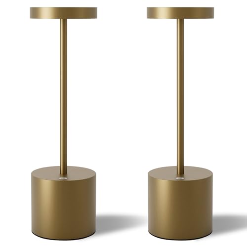 TBBGA Cordless Table Lamps Set of 2, 5000mAh Rechargeable Battery Powered Lamp, 3 Color Stepless Dimming LED Table Lamp, Portable Table Light for Outdoor/Indoor/Restaurant/Home. (Titanium) - color: Titanium2