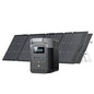 EF ECOFLOW Solar Generator DELTA 2 with 2x220W Portable Solar Panels, 1024Wh LFP Battery, Fast Charging, Portable Power Station for Home Backup Power, Camping & RVs - style: DELTA 2+2X220W Solar Generator