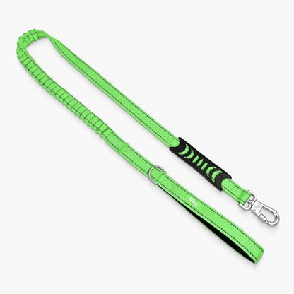 Dog Friendly Co. Bungee Dog Leash | Strain Free & Shock Resistant for Control | Neoprene Padded Handle, Heavy-Duty Carabiner Clip, and D-Ring | Neon Green, Size Regular - color: Neon Green, size: Regular