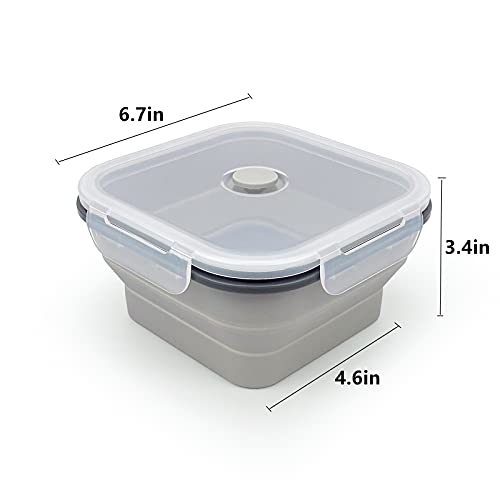 CARTINTS Large 1200ml Collapsible Bowls with Lids, Silicone Food Storage Containers, Space-Saving Meal Prep Containers For Kitchen and Outdoors Camping, Set of 3, Grey - color: grey