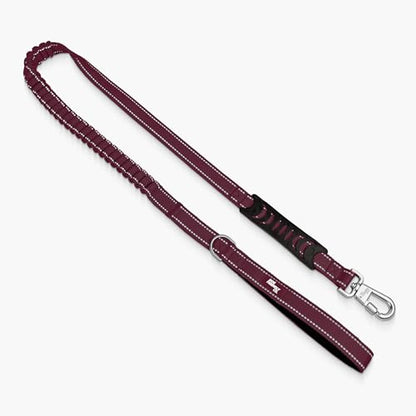 Dog Friendly Co. Bungee Dog Leash | Strain Free & Shock Resistant for Control | Neoprene Padded Handle, Heavy-Duty Carabiner Clip, and D-Ring | Burgundy, Size Regular - color: Burgundy, size: Regular
