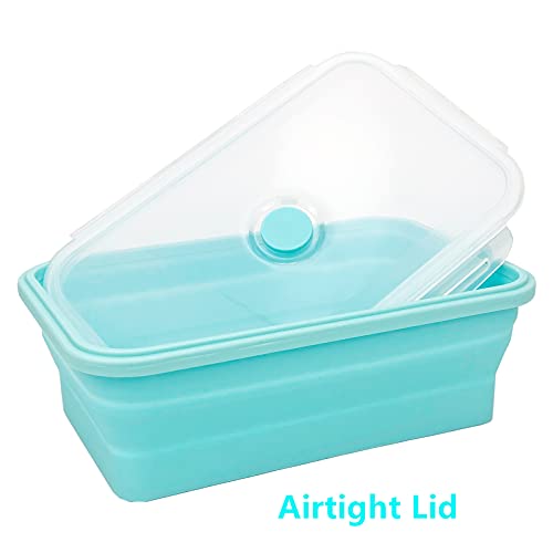 CARTINTS Large Collapsible Camping Food Containers, 1200ml Silicone Lunch Container, Microwave Safe Reusable Meal Prep Container For Indoor&Outdoor Kitchen With Foldable Spoon, Blue