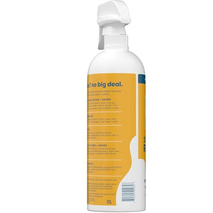 KIDS 'N' PETS Instant All-Purpose Stain & Odor Remover, 32oz | Permanently Eliminates Dog Pee & Cat Urine, For Carpet, Couch, Furniture, Mattress, Fabric, Non-Toxic, Child Safe - style: 32 fl oz