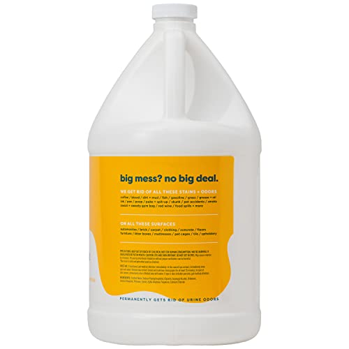 Kids 'N' Pets Instant All-Purpose Stain & Odor Remover - Cleans Dog Pee, Cat Urine, Other Smells, Spots from Carpet, Couch, Mattress - Non-Toxic Chemicals & Child Safe Enzyme Cleaner - 1-Gallon - style: 128 oz gallon