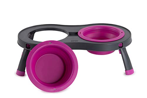 Dexas Pets Double Elevated Pet Feeder, Fuchsia, Large/2.5 Cup Capacity Bowls - color: Fuchsia, size: Large/2.5 Cup Capacity Bowls