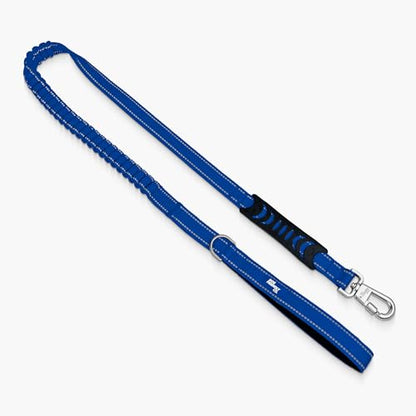 Dog Friendly Co. Bungee Dog Leash | Strain Free & Shock Resistant for Control | Neoprene Padded Handle, Heavy-Duty Carabiner Clip, and D-Ring | Classic Blue, Size Small - color: Classic Blue, size: Small