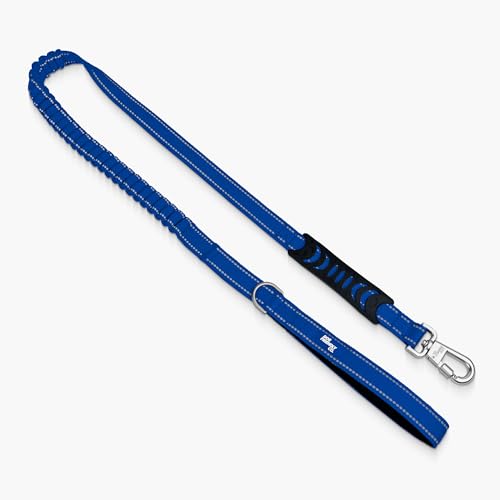 Dog Friendly Co. Bungee Dog Leash | Strain Free & Shock Resistant for Control | Neoprene Padded Handle, Heavy-Duty Carabiner Clip, and D-Ring | Classic Blue, Size Regular - color: Classic Blue, size: Regular