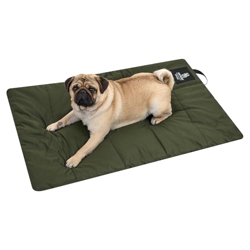 ONETIGRIS Large Dog Bed Washable Matteress Anti Slip Cushion for Pets Sleeping, 3.6ft by 2.2ft Water-Resistant Pet Bed for Indoor Outdoor(Green,S) - size: Small