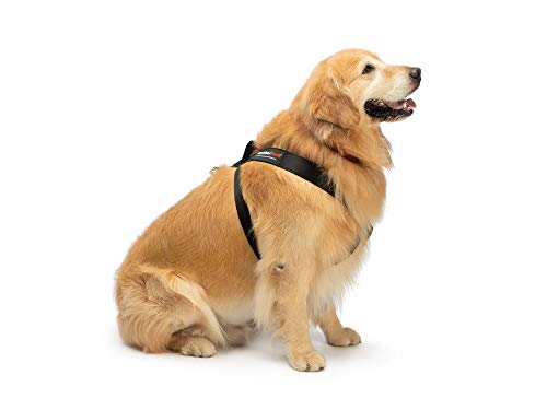 WeatherTech Pet Safety Harness - Keeps Your pet Safe and Secure While on-The-go - XX-Small Black (84PH1318BK) - size: XX-Small