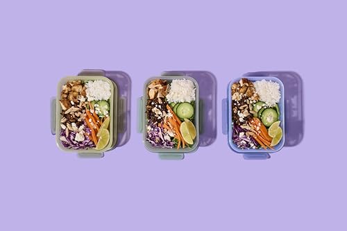 Ello Snap & Nest 10-Piece 4.5 Cup Plastic Meal Prep Set, Reusable Food Containers for Healthy Eating, Freezer, Dishwasher Safe, Cactus Blooms - color: Cactus Blooms, size: Meal Prep