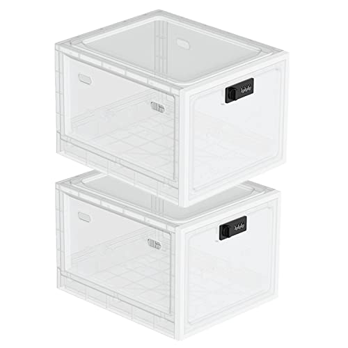SANIDIKA 2 Pack Large Refrigerator Lockable Box - Childproof First Aid Locking Box Pill Case Medical Organizer - Ipad Tablet Phone Jail - color: 2pack Clear