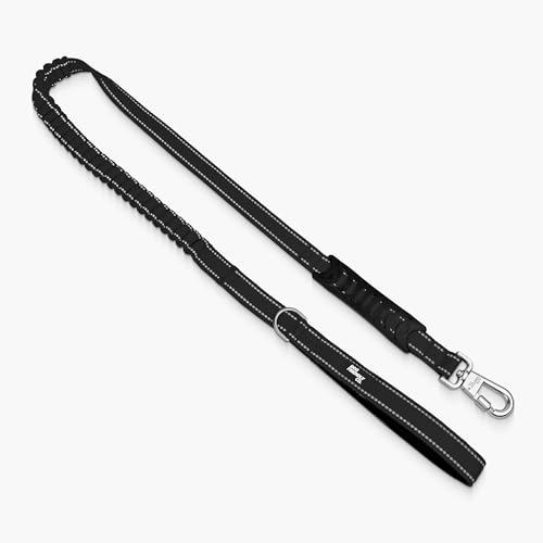 Dog Friendly Co. Bungee Dog Leash | Strain Free & Shock Resistant for Control | Neoprene Padded Handle, Heavy-Duty Carabiner Clip, and D-Ring | Black, Size Small - color: Black, size: Small