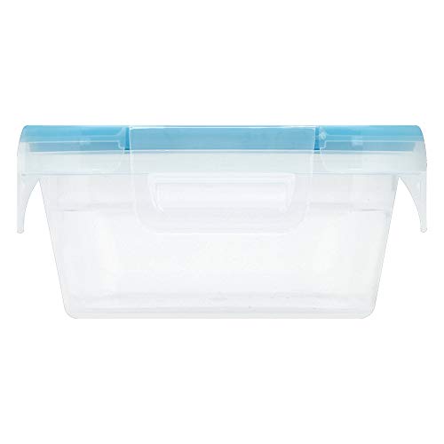 Snapware Total Solutions (3 Cup) Plastic Food Storage Containers Set, Airtight & Leakproof Locking BPA-Free Lids Tupperware, Freezer Dishwasher Microwave Safe (Pack of 10) - size: 10 Pack, style: 3 Cup