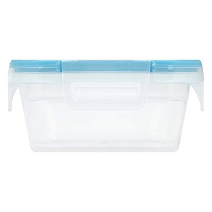 Snapware Total Solutions (3 Cup) Plastic Food Storage Containers Set, Airtight & Leakproof Locking BPA-Free Lids Tupperware, Freezer Dishwasher Microwave Safe (Pack of 10) - size: 10 Pack, style: 3 Cup
